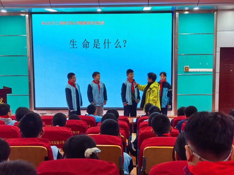 �������� �����ɳ���������ʵ��Сѧ��չ��������������������